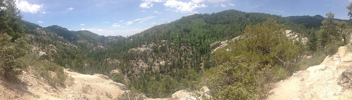 Top of Mount Lemmon