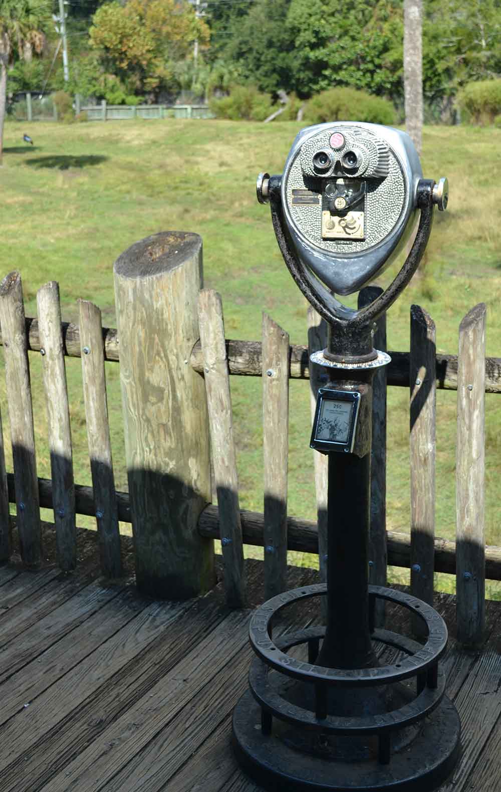 binocular stand before