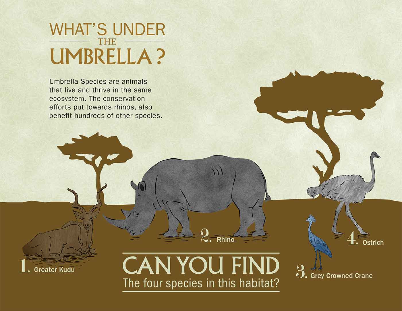 umbrella species game
