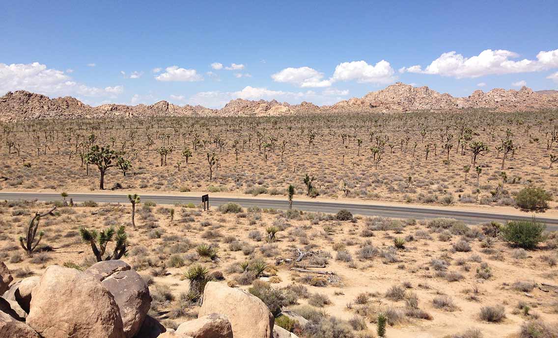 Joshua Tree National Park