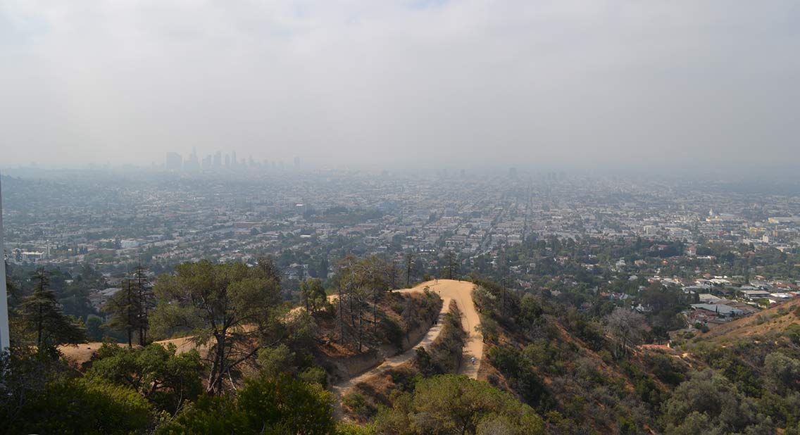 View of LA
