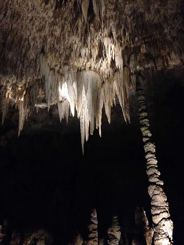 Calrsbad Caverns